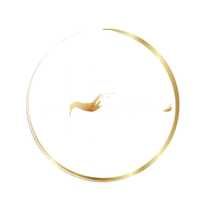 Haven Beauty & Aesthetics logo
